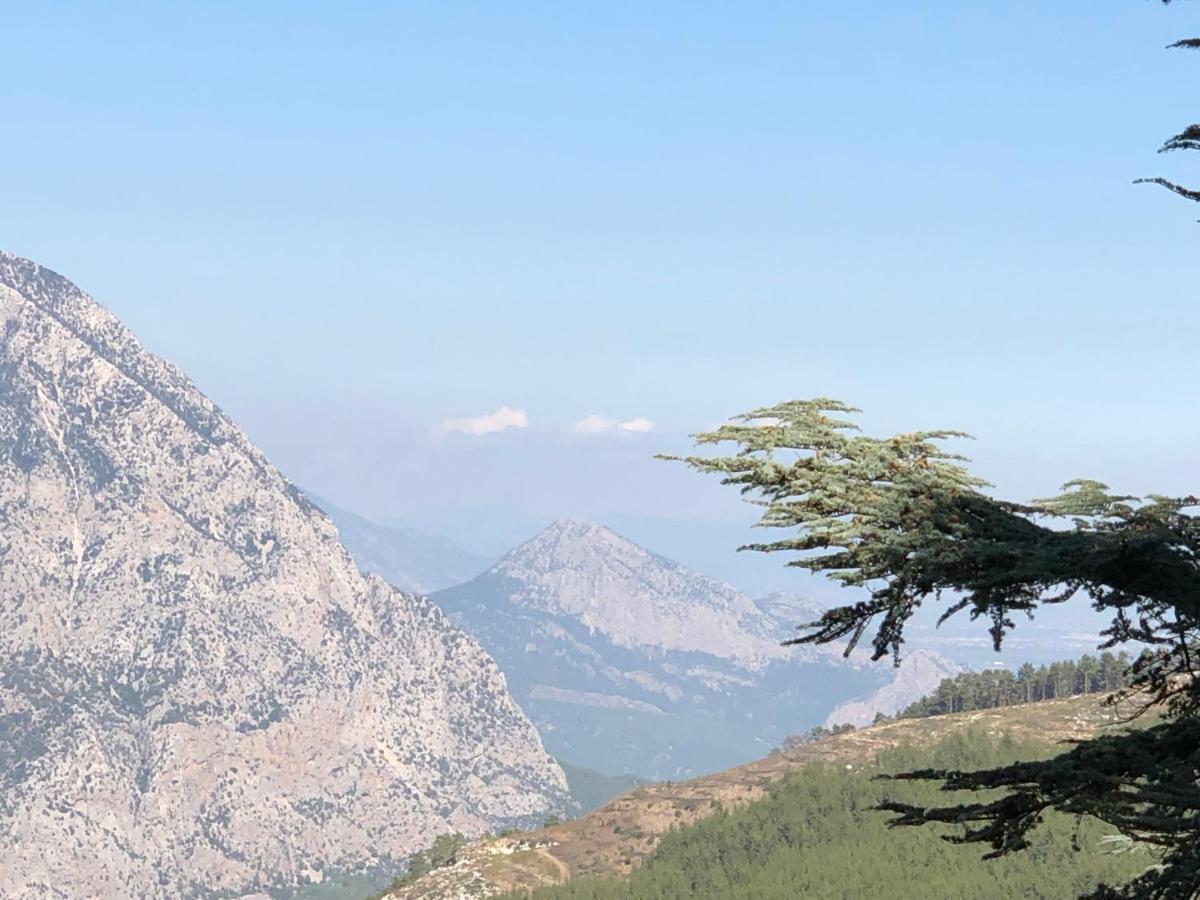 Yenivadi Villa Antalya Exteriör bild